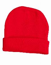 Upps Beanie With Emb 